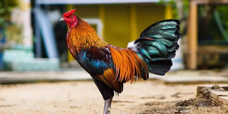 Dựa trên kinh nghiệm bản thân