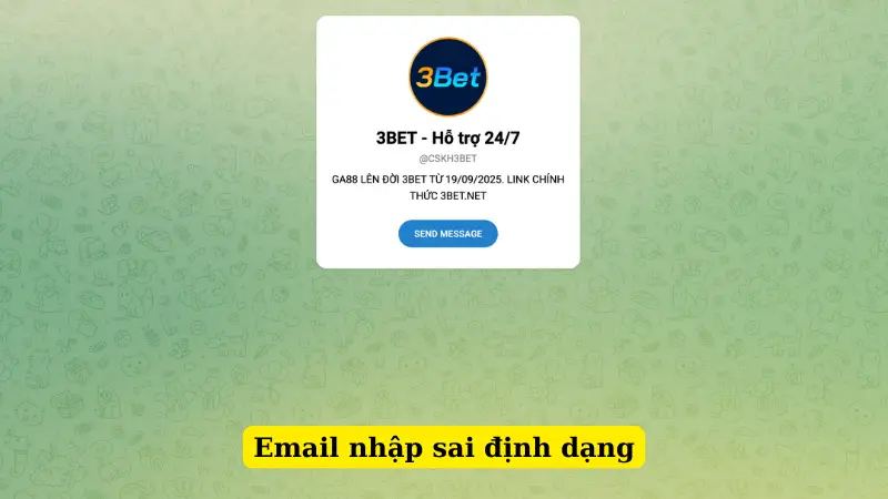 Email nhập sai định dạng